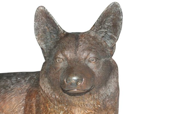 Corgi dog Bronze Statue -  Size: 20"L x 10"W x 11.5"H.