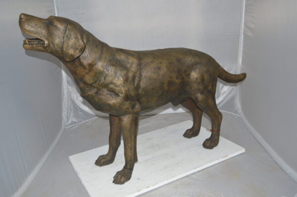 Labrador Retriever Bronze Statue -  Size: 12"L x 50"W x 31"H.