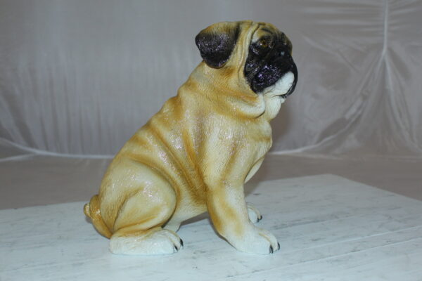 Pug Dog Bronze Statue -  Size: 12"L x 6"W x 11"H.