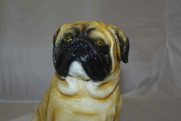 Pug Dog Bronze Statue -  Size: 12"L x 6"W x 11"H.