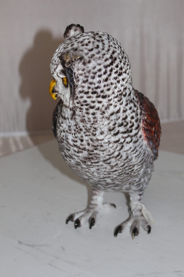 Owl Bronze Statue -  Size: 12"L x 6"W x 12"H.