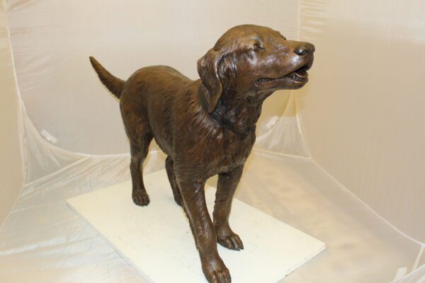 Golden retriever dog standing - Bronze Statue -  Size: 44"L x 10"W x 27"H.