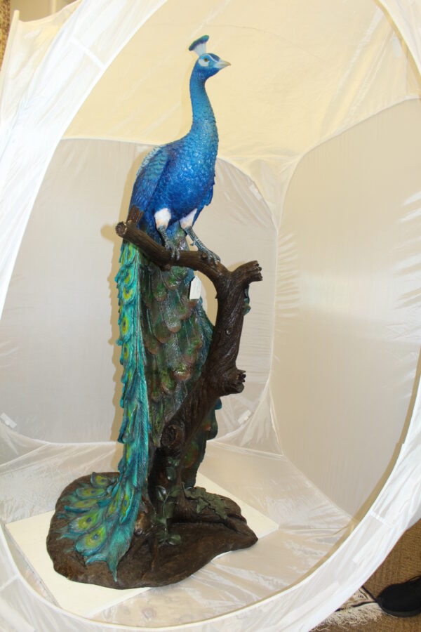 Peacock on Tree Bronze Statue -  Size: 31"L x 30"W x 64"H.