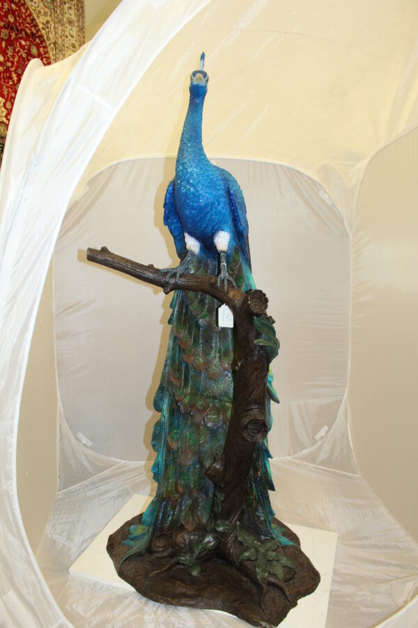 Peacock on Tree Bronze Statue -  Size: 31"L x 30"W x 64"H.