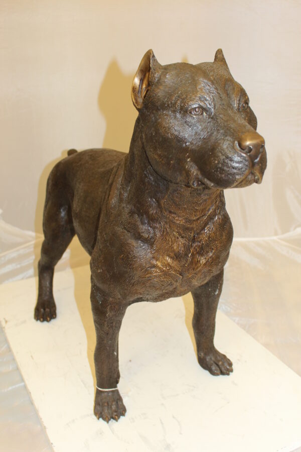 Pit Bull Dog Bronze Statue -  Size: 33"L x 11"W x 26"H.