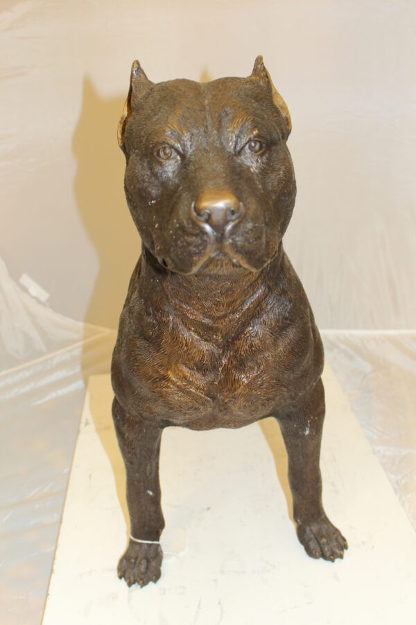 Pit Bull Dog Bronze Statue -  Size: 33"L x 11"W x 26"H.