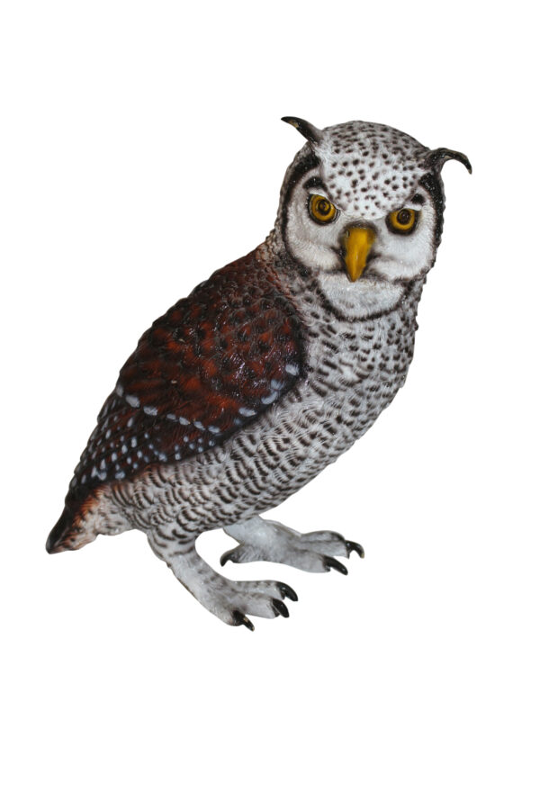 Owl Bronze Statue -  Size: 12"L x 6"W x 12"H.