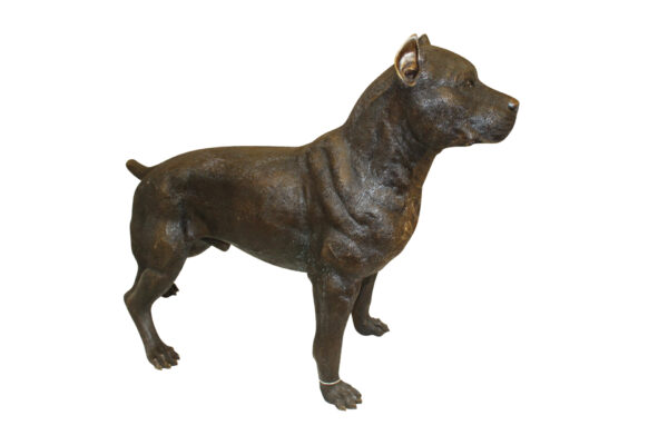 Pit Bull Dog Bronze Statue -  Size: 33"L x 11"W x 26"H.