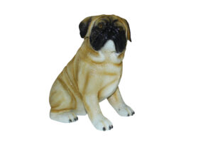 Pug Dog Bronze Statue -  Size: 12"L x 6"W x 11"H.