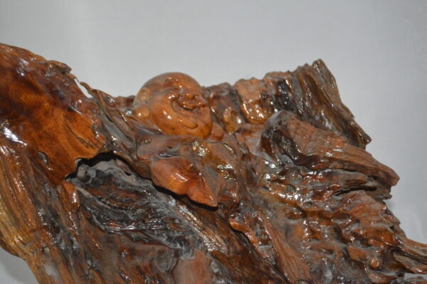 Wood Carved Buddha CC5 -  Size: 27"L x 24"W x 24"H. - Image 5