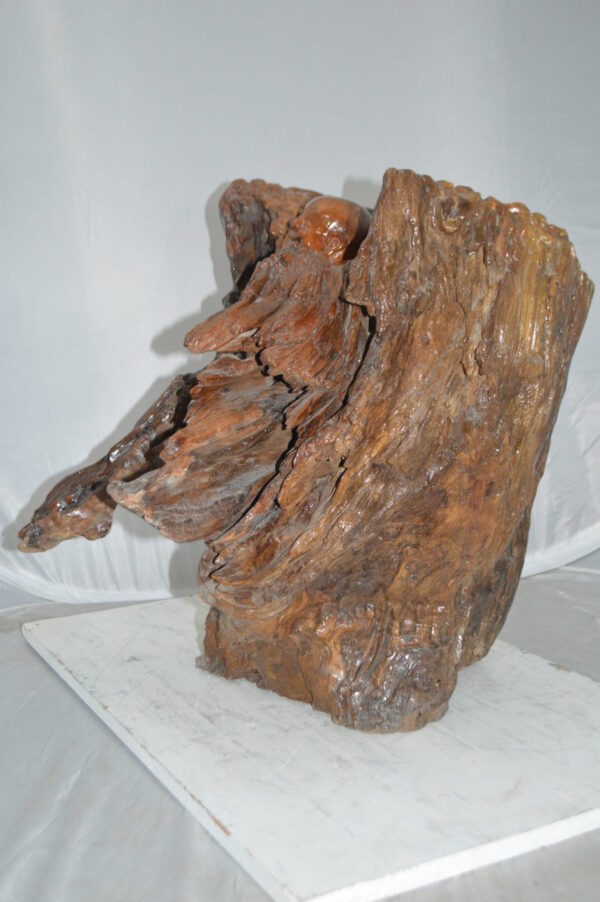 Wood Carved Buddha CC5 -  Size: 27"L x 24"W x 24"H. - Image 10