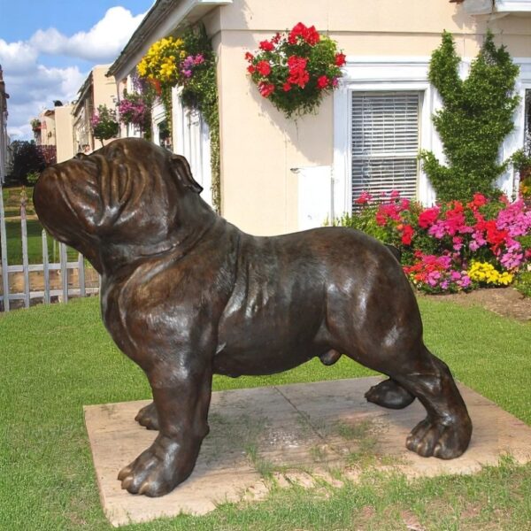 Bulldog Giant Bronze Statue -  Size: 62"L x 26"W x 44"H. - Image 3