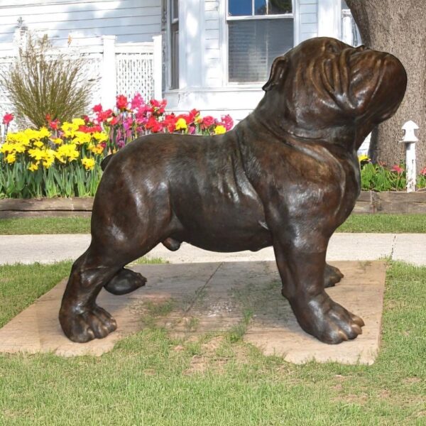 Bulldog Giant Bronze Statue -  Size: 62"L x 26"W x 44"H. - Image 2
