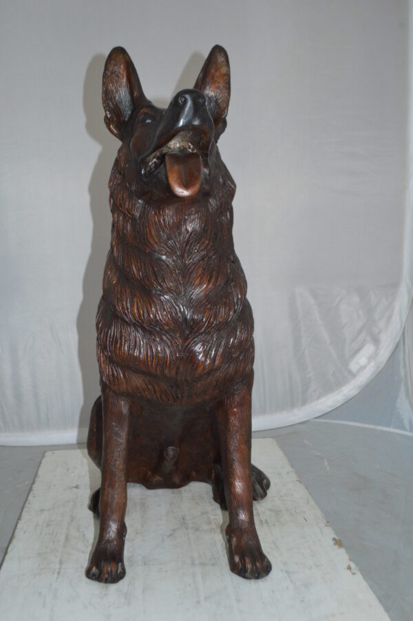 German Shepherd Alsatian  dog bronze statue -  Size: 23"L x 16"W x 30"H. - Image 9