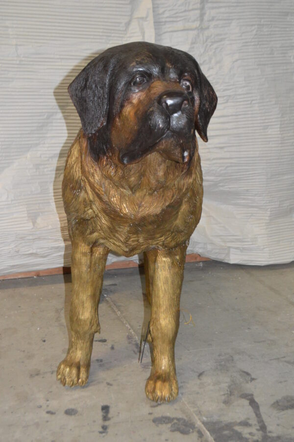 St. Bernard Dog Bronze Statue -  Size: 57"L x 16"W x 38"H. - Image 7