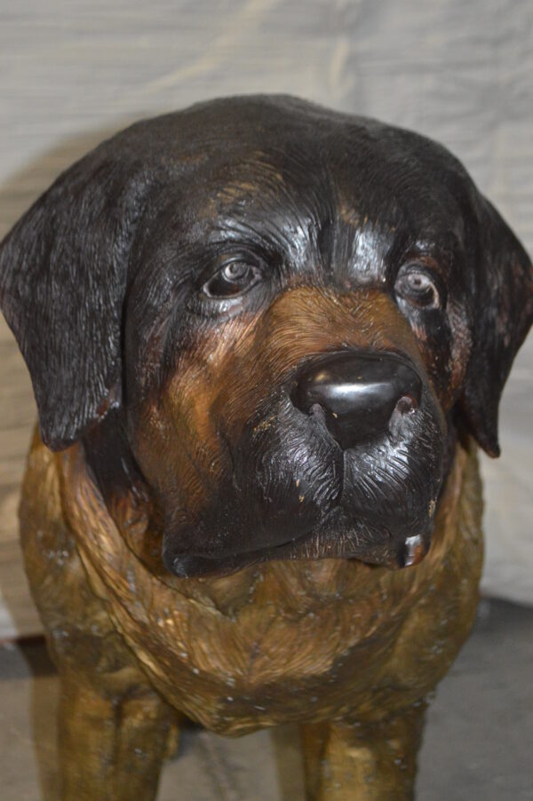 St. Bernard Dog Bronze Statue -  Size: 57"L x 16"W x 38"H. - Image 8