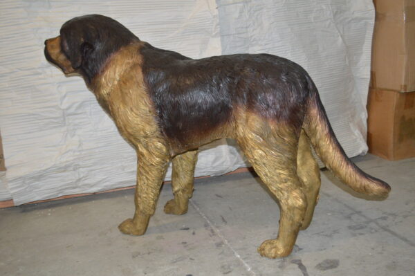 St. Bernard Dog Bronze Statue -  Size: 57"L x 16"W x 38"H. - Image 11