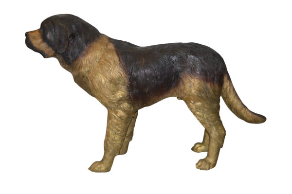 St. Bernard Dog Bronze Statue -  Size: 57"L x 16"W x 38"H.