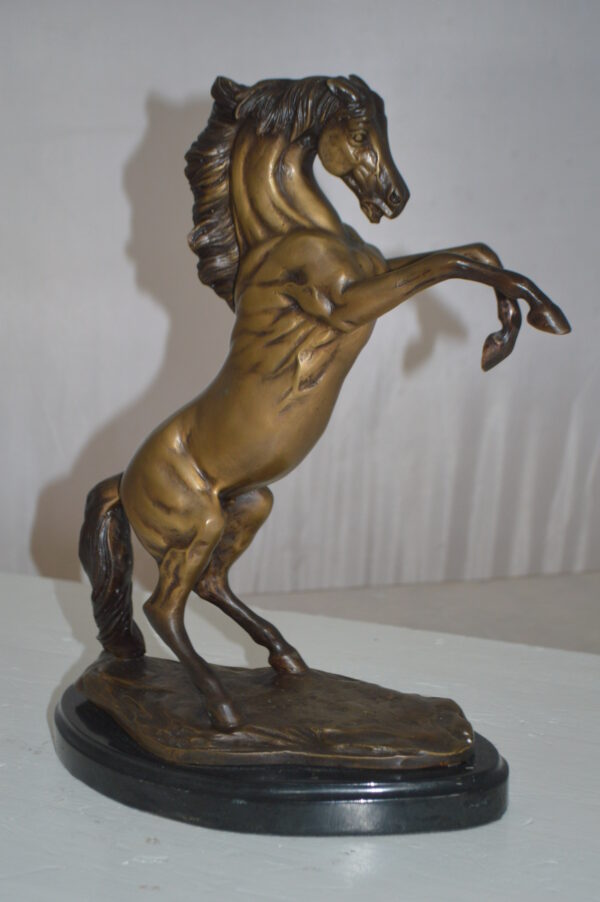 Rearing Horse - medium Bronze Statue -  Size: 11"L x 6"W x 14"H. - Image 6