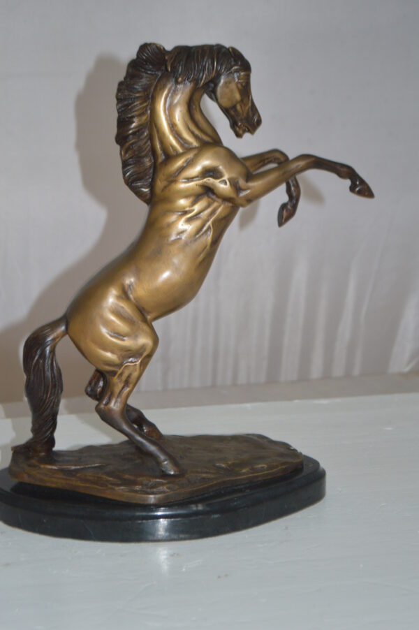 Rearing Horse - medium Bronze Statue -  Size: 11"L x 6"W x 14"H. - Image 7