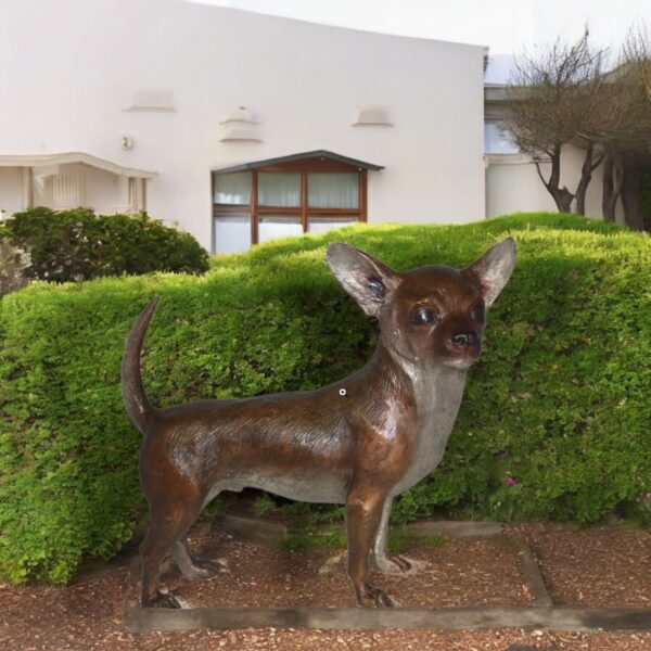 Standing Chihuahua Bronze Statue -  Size: 6"L x 16"W x 14"H. - Image 2