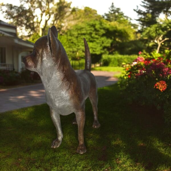 Standing Chihuahua Bronze Statue -  Size: 6"L x 16"W x 14"H. - Image 3