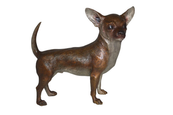 Standing Chihuahua Bronze Statue -  Size: 6"L x 16"W x 14"H.