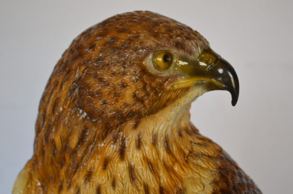 Hawk Bronze Statue standing on Stump on Marble -  Size: 12"L x 15"W x 29"H. - Image 8