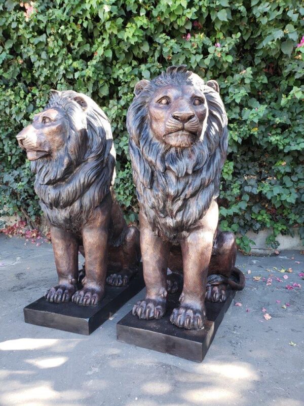 Pair of Life-size lions bronze statues -  Size: 17"L x 35"W x 47"H. - Image 3