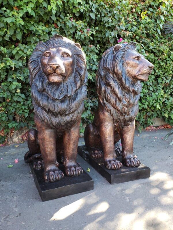 Pair of Life-size lions bronze statues -  Size: 17"L x 35"W x 47"H. - Image 4