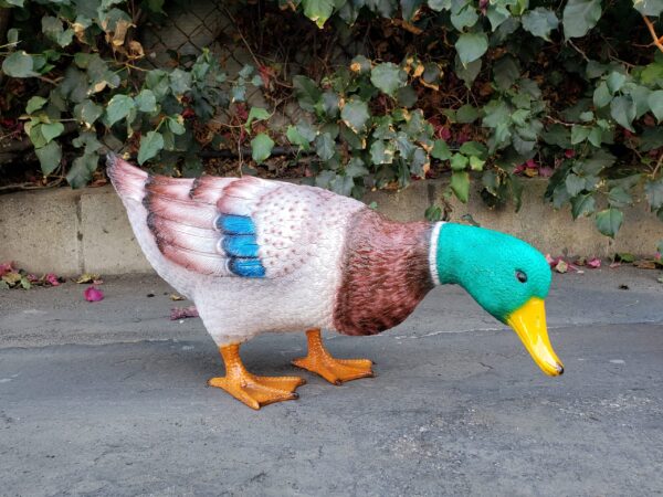 Duck Standing Looking Down Bronze Statue -  Size: 24"L x 9"W x 12"H. - Image 4