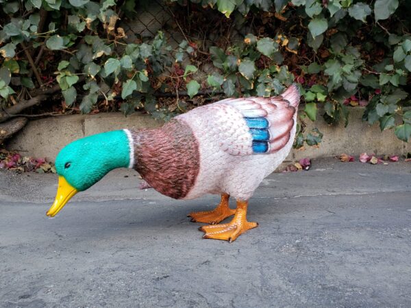Duck Standing Looking Down Bronze Statue -  Size: 24"L x 9"W x 12"H. - Image 6