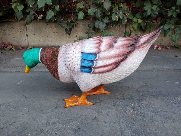 Duck Standing Looking Down Bronze Statue -  Size: 24"L x 9"W x 12"H. - Image 7