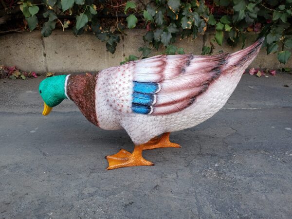 Duck Standing Looking Down Bronze Statue -  Size: 24"L x 9"W x 12"H. - Image 8