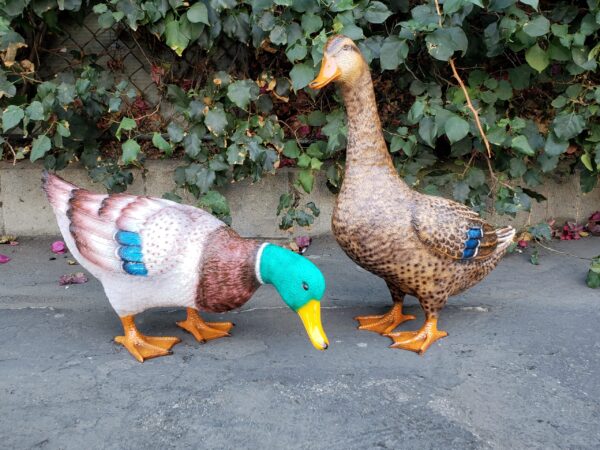 Duck Standing Looking Down Bronze Statue -  Size: 24"L x 9"W x 12"H. - Image 9