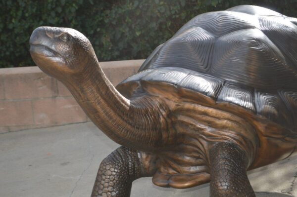 Giant Tortoise - Turtle bronze statue -  Size: 64"L x 36"W x 36"H. - Image 5