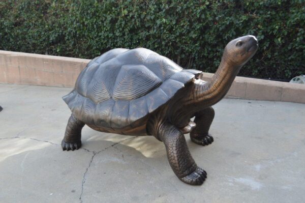 Giant Tortoise - Turtle bronze statue -  Size: 64"L x 36"W x 36"H. - Image 6