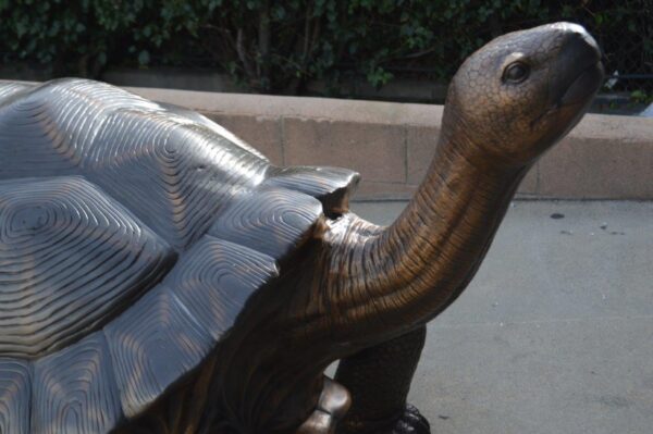 Giant Tortoise - Turtle bronze statue -  Size: 64"L x 36"W x 36"H. - Image 7
