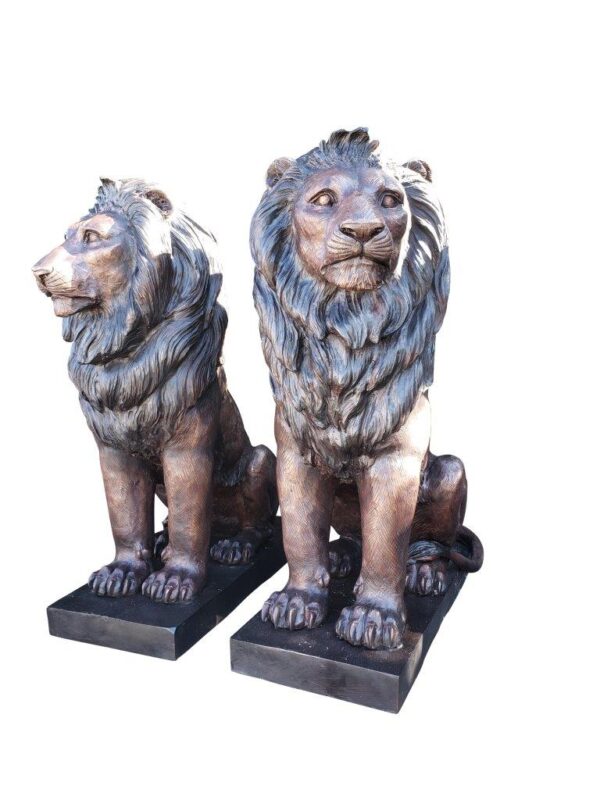 Pair of Life-size lions bronze statues -  Size: 17"L x 35"W x 47"H. - Image 7