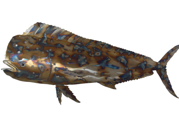 Mahi-Mahi fish laser cut steel wall mounted - Size: 26"L x 2"W x 14"H.
