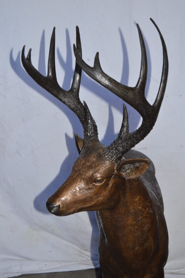 Pair of life size deer bronze statue - Size: 17"L x 44"W x 52"H. - Image 7