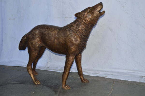 Wolf Standing and Howling Life Size Bronze Statue - Size: 45"L x 15"W x 34"H. - Image 3