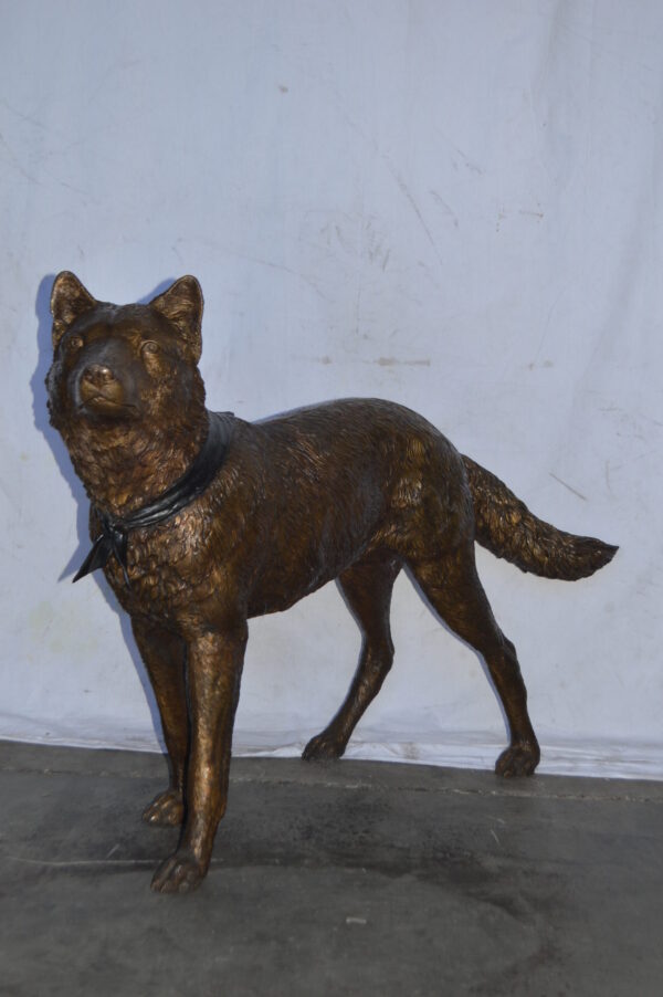 Wolf Standing Life Size Bronze Statue - Size: 45"L x 15"W x 33"H. - Image 5
