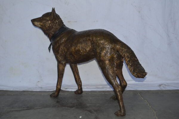 Wolf Standing Life Size Bronze Statue - Size: 45"L x 15"W x 33"H. - Image 11