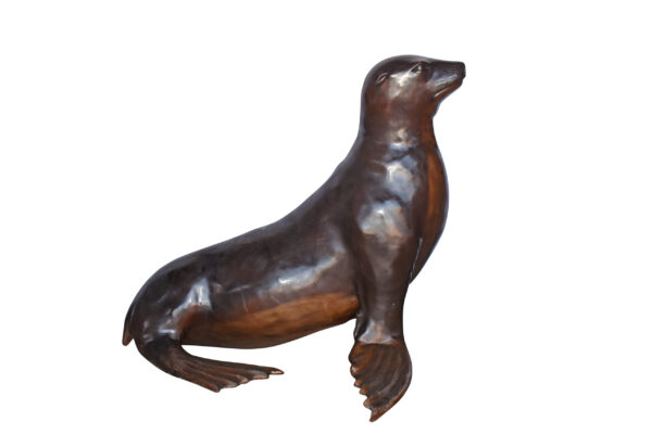 Perched Life Size Seal bronze statue - Size: 40"L x 35"W x 31"H.