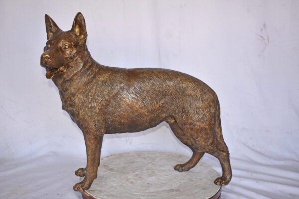 German Shepherd Alsatian Standing dog bronze statue - Size: 28"L x 6"W x 27"H. - Image 3