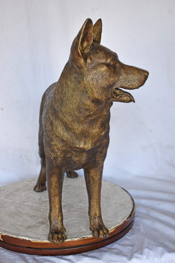 German Shepherd Alsatian Standing dog bronze statue - Size: 28"L x 6"W x 27"H. - Image 7