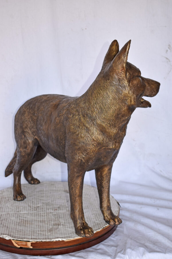 German Shepherd Alsatian Standing dog bronze statue - Size: 28"L x 6"W x 27"H. - Image 8