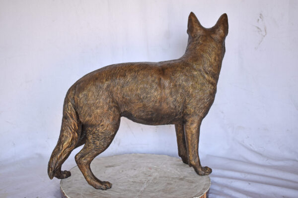 German Shepherd Alsatian Standing dog bronze statue - Size: 28"L x 6"W x 27"H. - Image 11