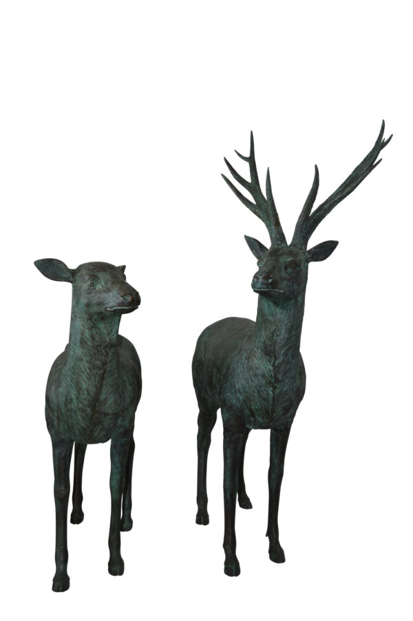 Pair of life size deer bronze statue with Green Patina - Size: 17" x 44" x 52"H.